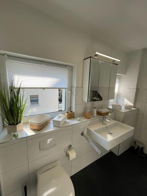 Komfortable Ferienwohnung In Halle-Kroellwitz Halle  Екстер'єр фото